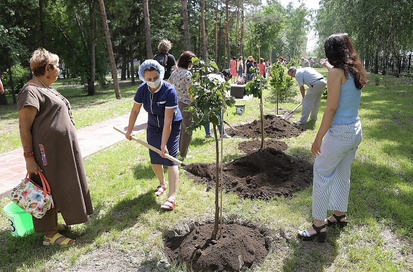 Аллею в честь тех, кто отдал другим почки и печень, посадили в Новосибирске Аллею в честь тех, кто отдал другим почки и печень, посадили в Новосибирске