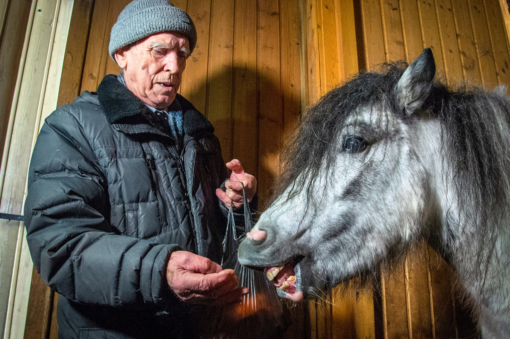Зачем горожане покупают лошадей, рассказал новосибирский хирург