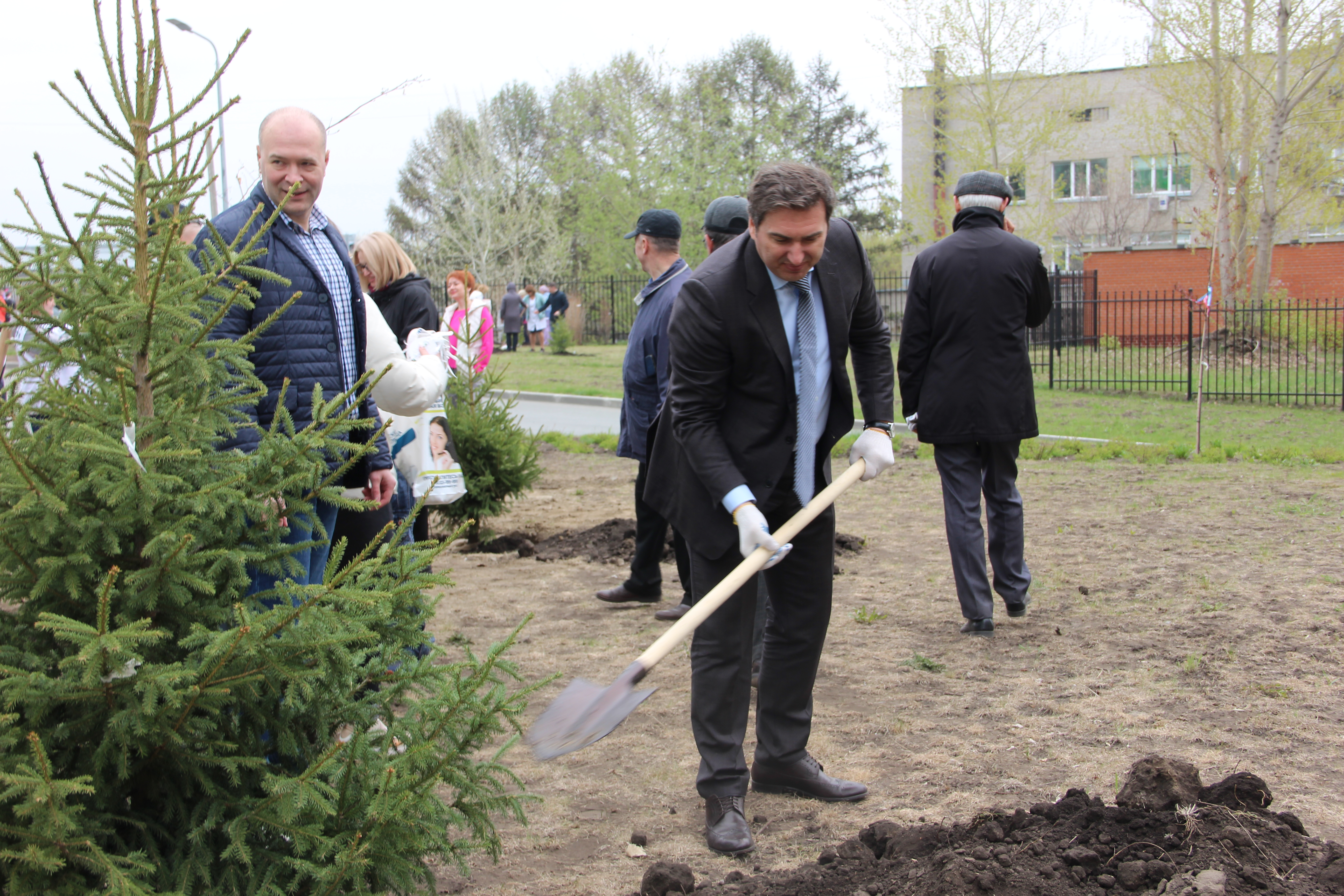 Почти сотню деревьев высадили в сквере «Милосердие» в память о медработниках времён Великой Отечественной войны
